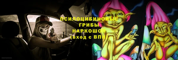 прущий лед Аркадак
