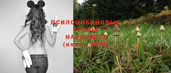 стафф Армянск
