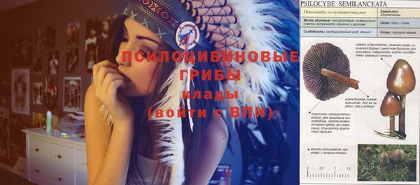 прущий лед Аркадак