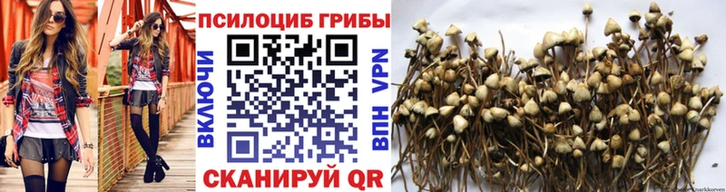 Галлюциногенные грибы Psilocybine cubensis  shop наркотические препараты  Свирск  закладки 